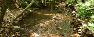 岡山県立森林公園の中には、こうした水源になる沢の流れがそこここに見られ、清らかな心にしてくれそうです。